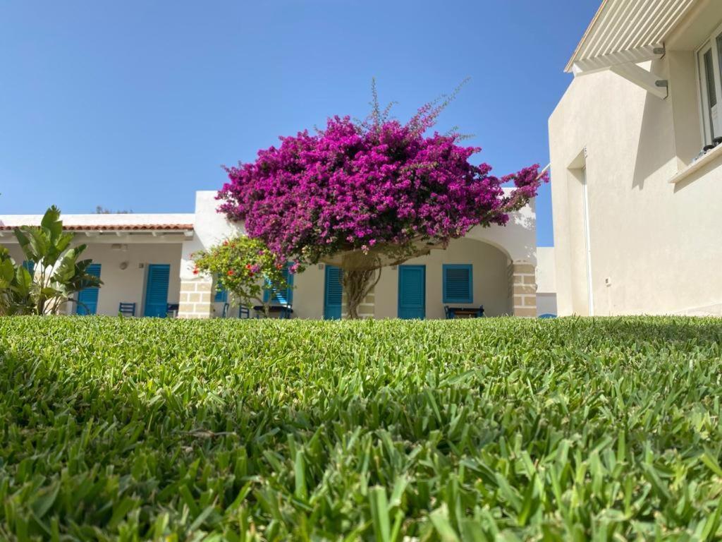 Antichi Mulini Hotel Favignana Buitenkant foto