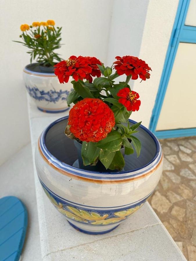 Antichi Mulini Hotel Favignana Buitenkant foto